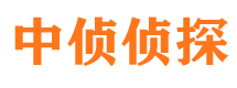 阳城私家调查公司